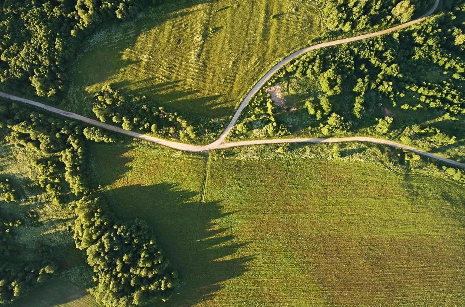 Agriculture & food editorial sector imagery